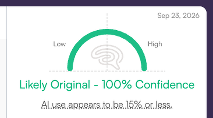 Originality AI result: likely original
